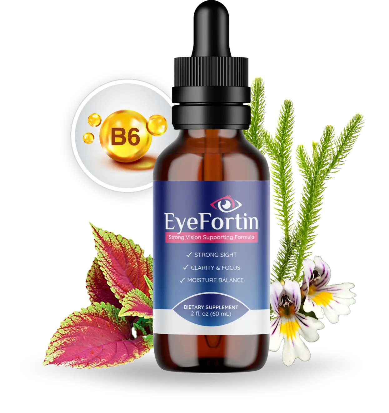 EyeFortin vision support liquid dropper bottle with eyebright and coleus forskohlii